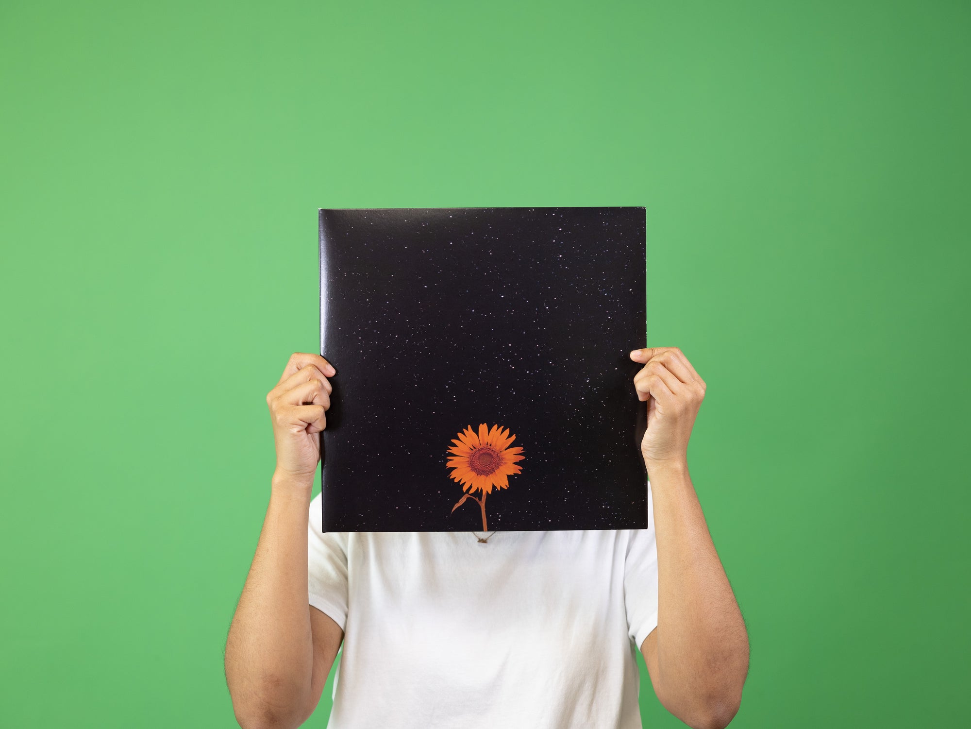 Joel Ansett: LAYERS
