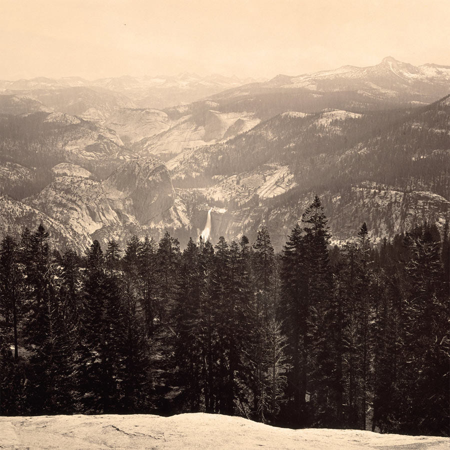 Tenielle Neda: THE WAY OF LOVE